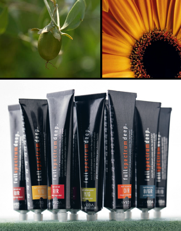 AVEDA